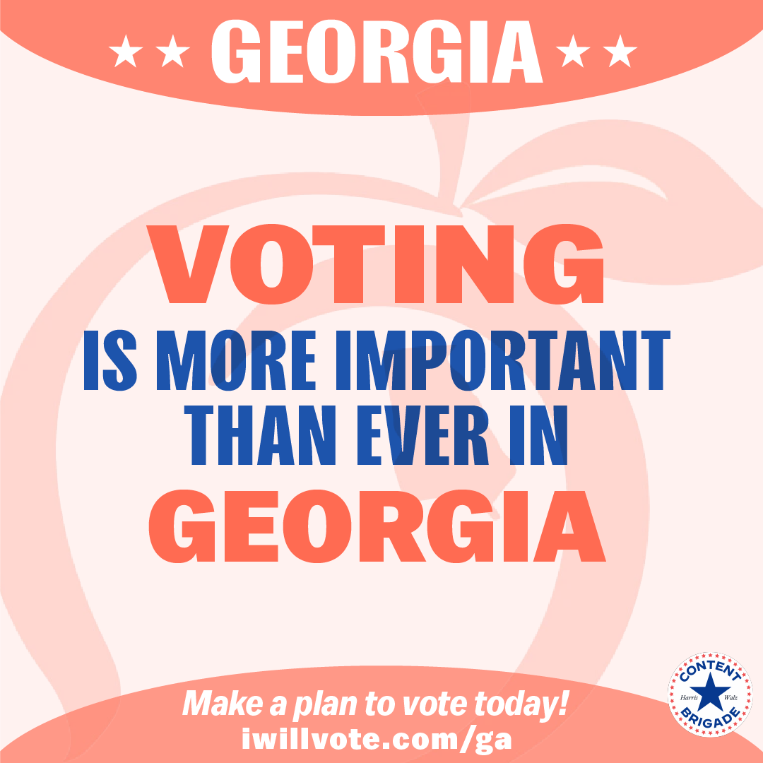 VoterEd_Georgia5.png